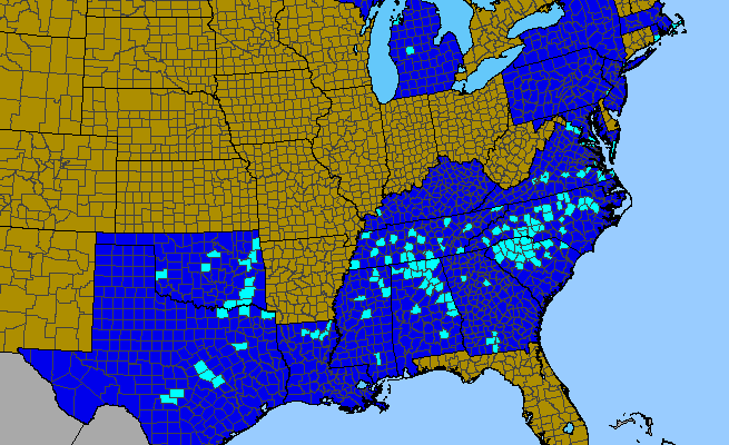 The range of Rubus bifrons